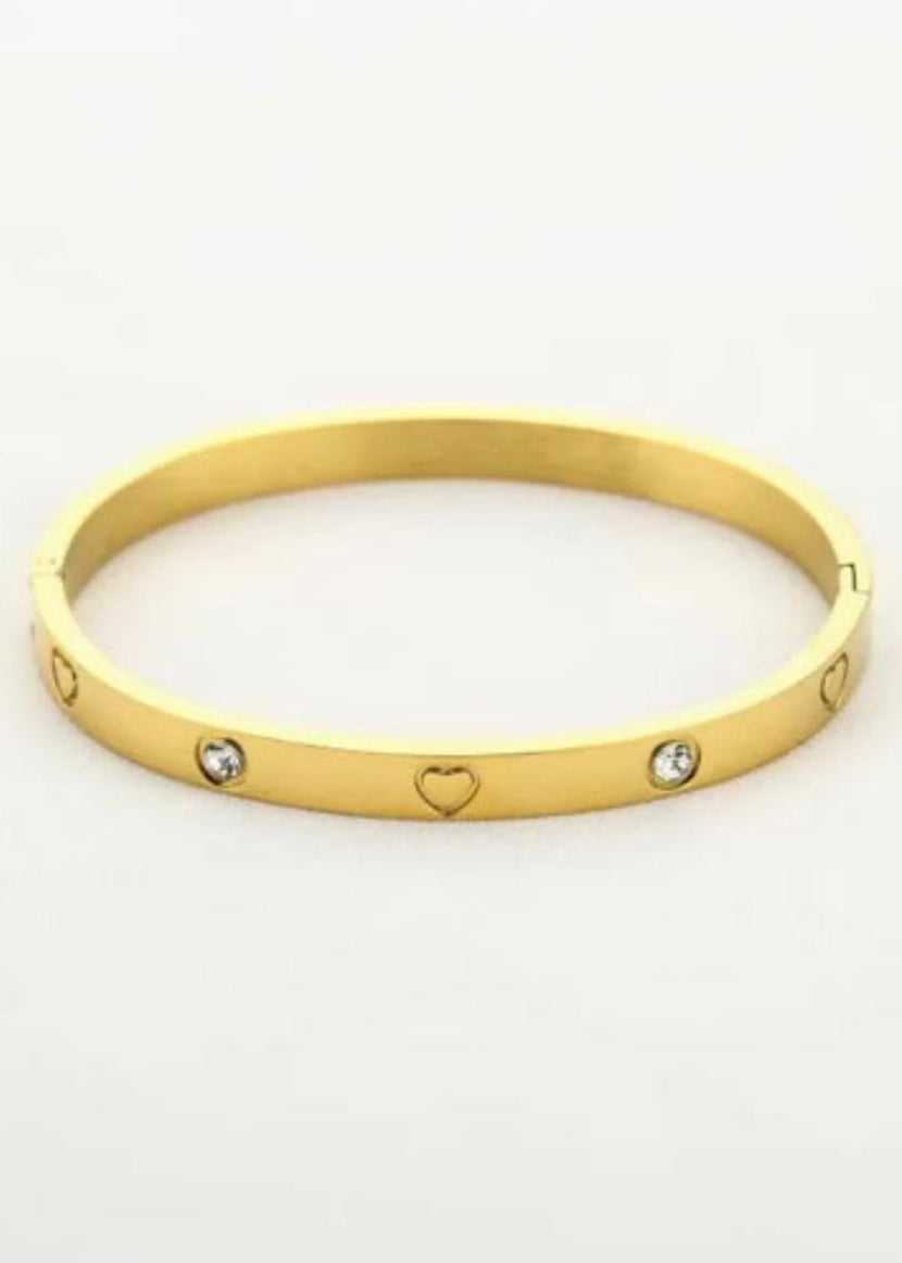 Stainless steel bangle armband, stijlvol, chic en duurzaam