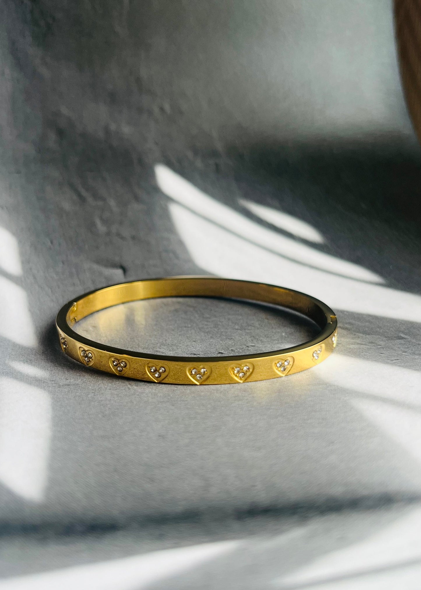 Stainless steel bangle armband, stijlvol, chic en duurzaam
