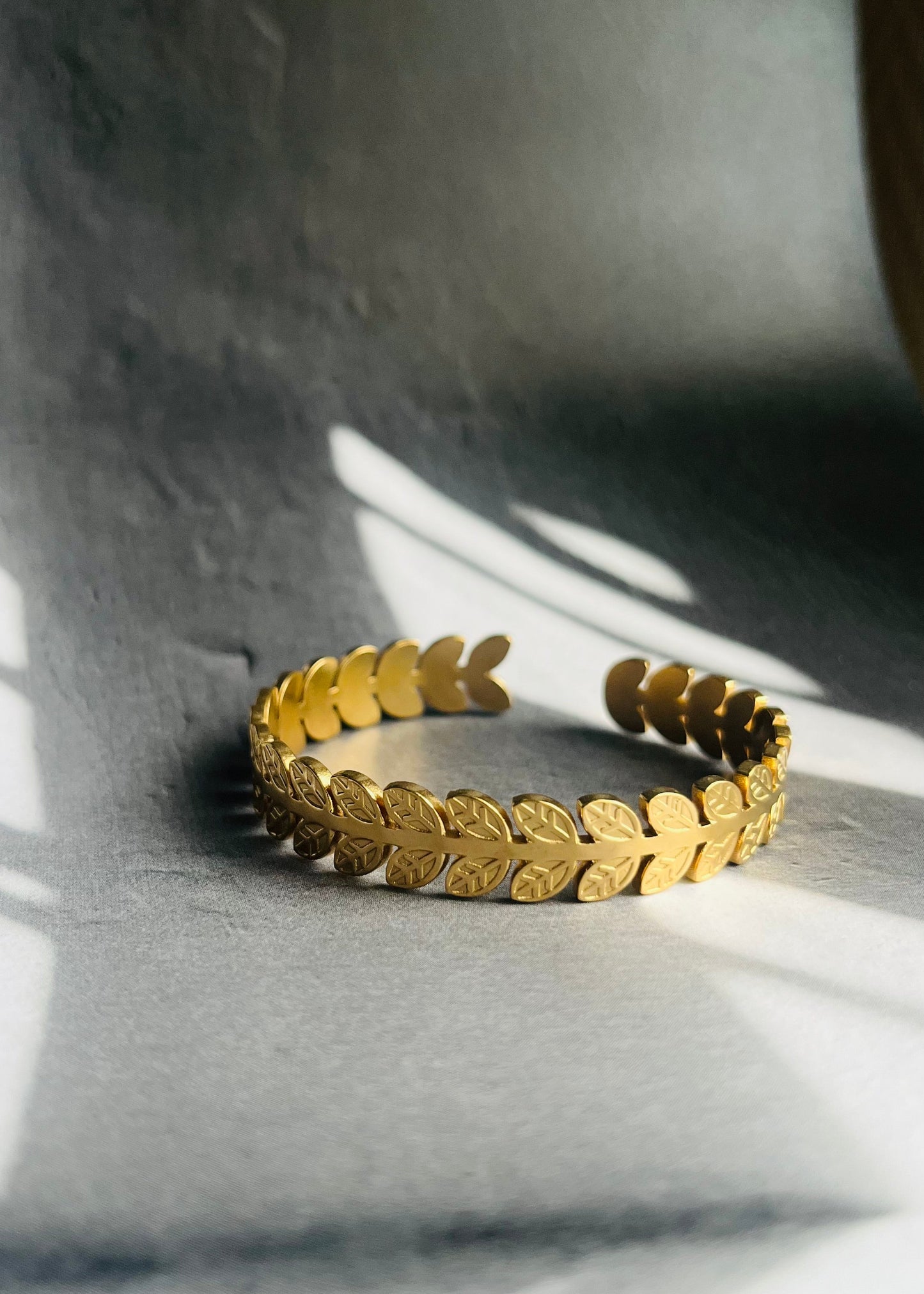 Stainless steel bangle armband, stijlvol, chic en duurzaam