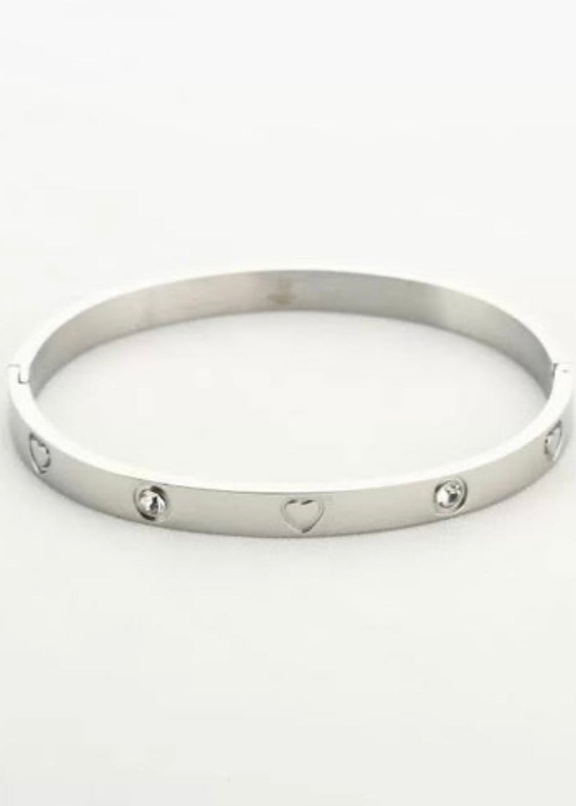 Stainless steel bangle armband, stijlvol, chic en duurzaam