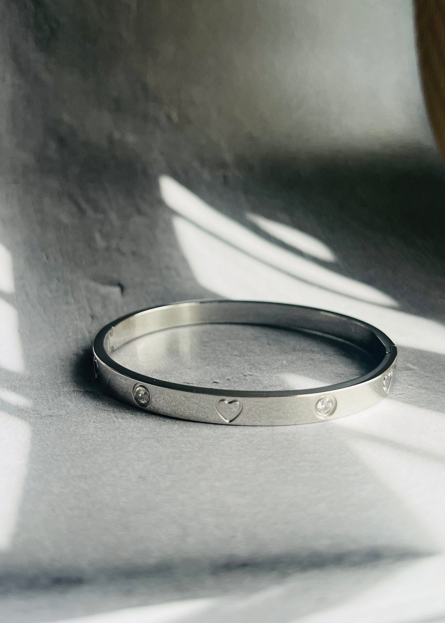 Stainless steel bangle armband, stijlvol, chic en duurzaam