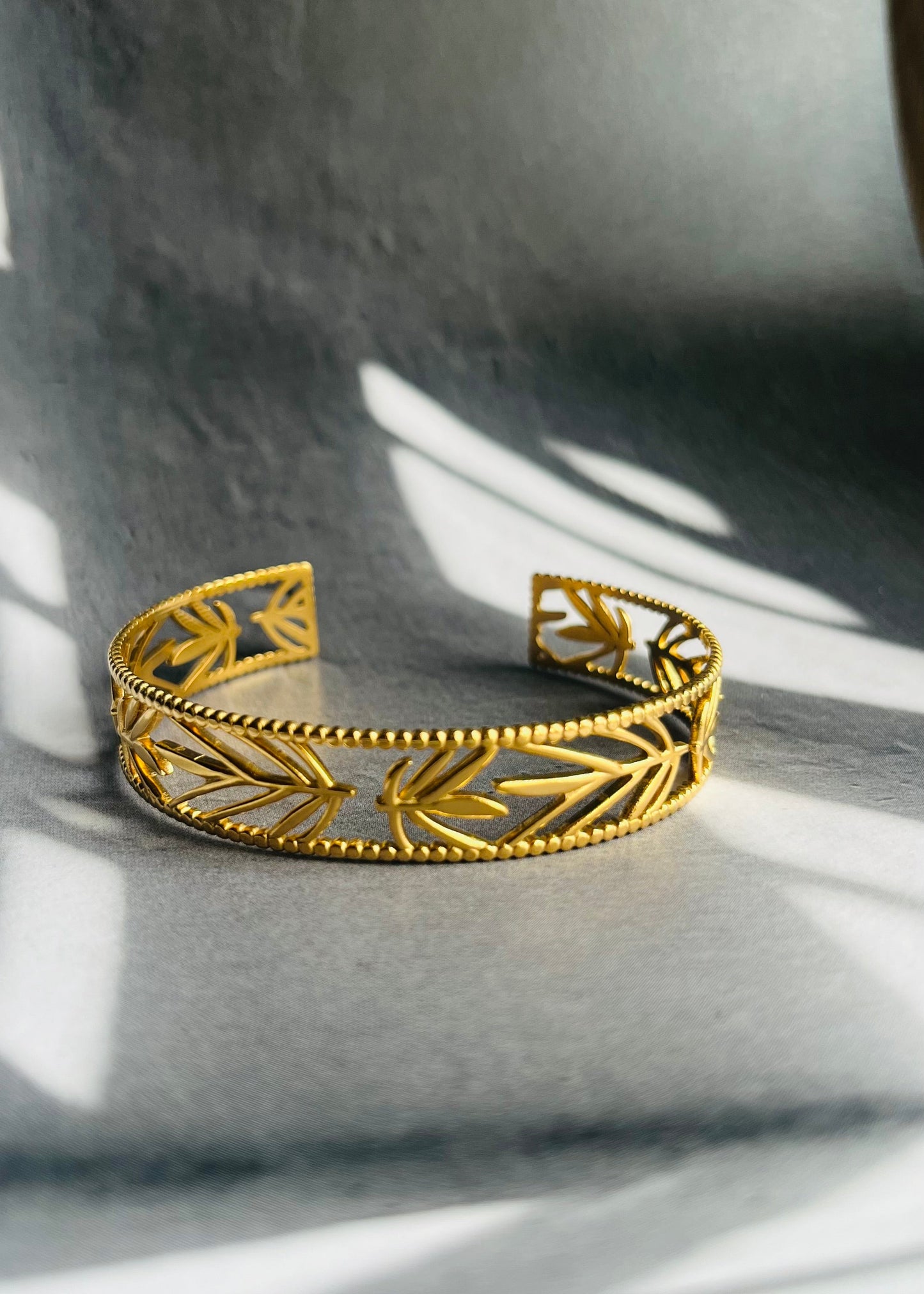 Stainless steel bangle armband, stijlvol, chic en duurzaam