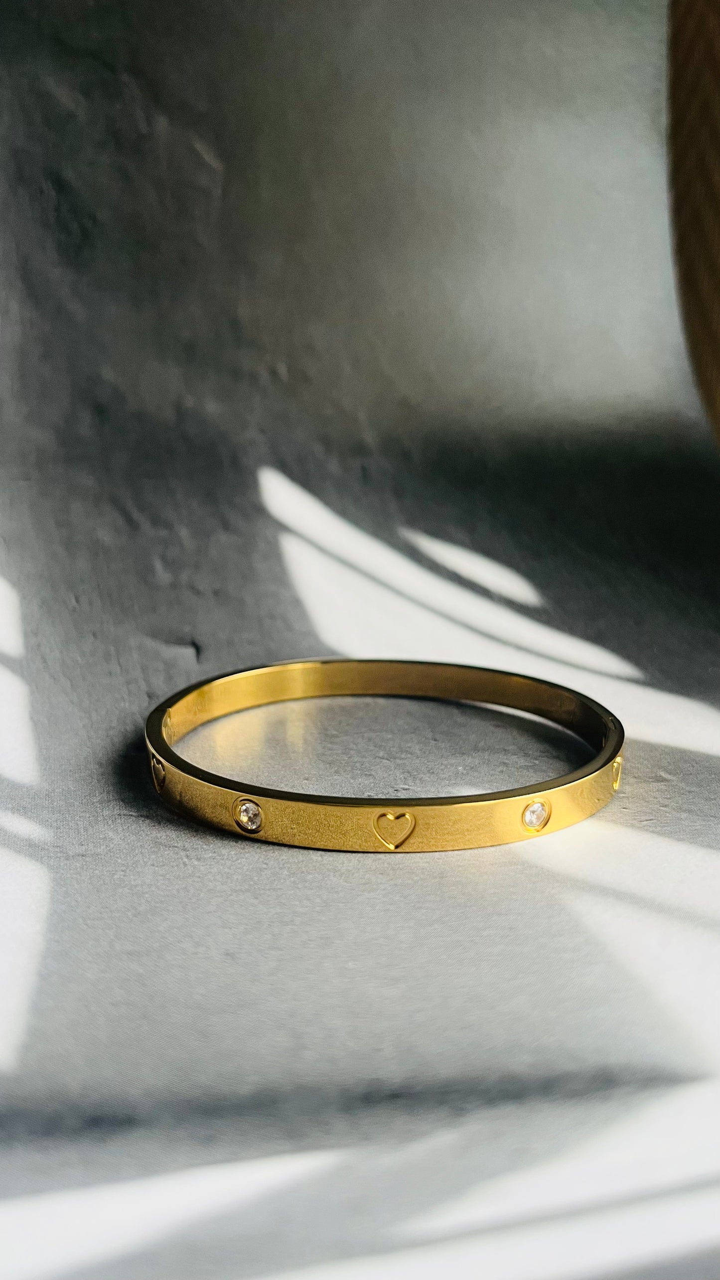 Stainless steel bangle armband, stijlvol, chic en duurzaam