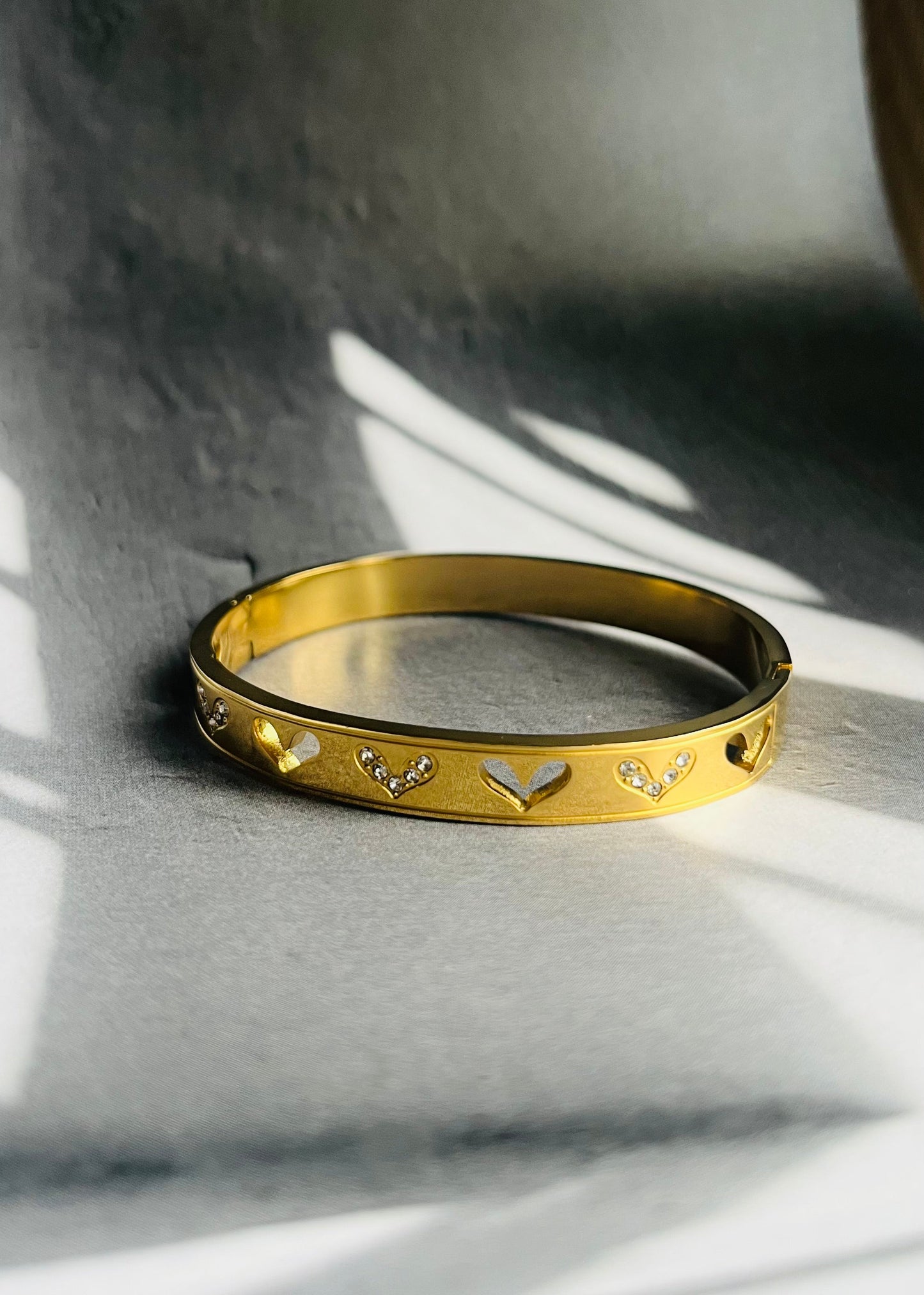 Stainless steel bangle armband, stijlvol, chic en duurzaam
