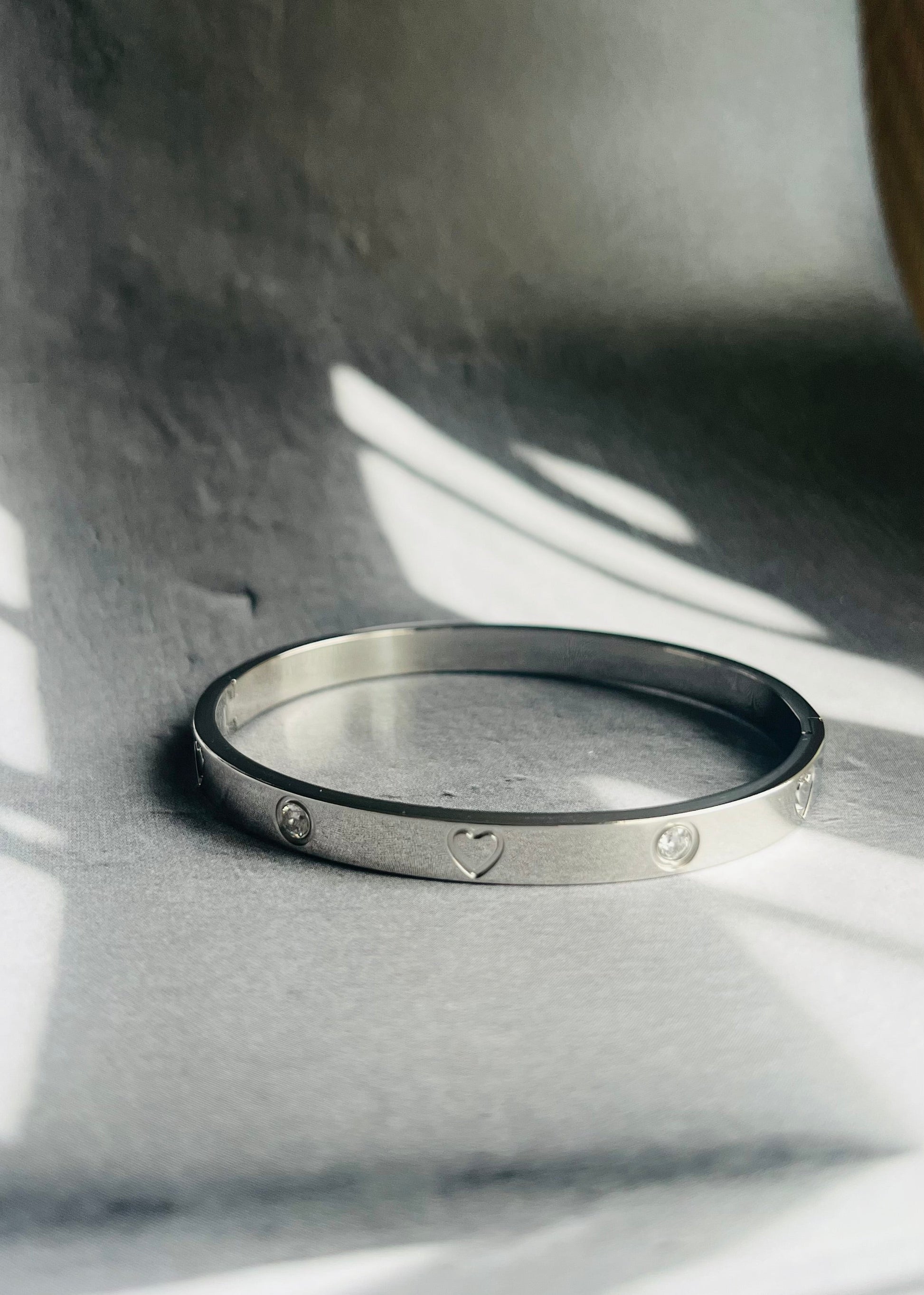 Stainless steel bangle armband, stijlvol, chic en duurzaam