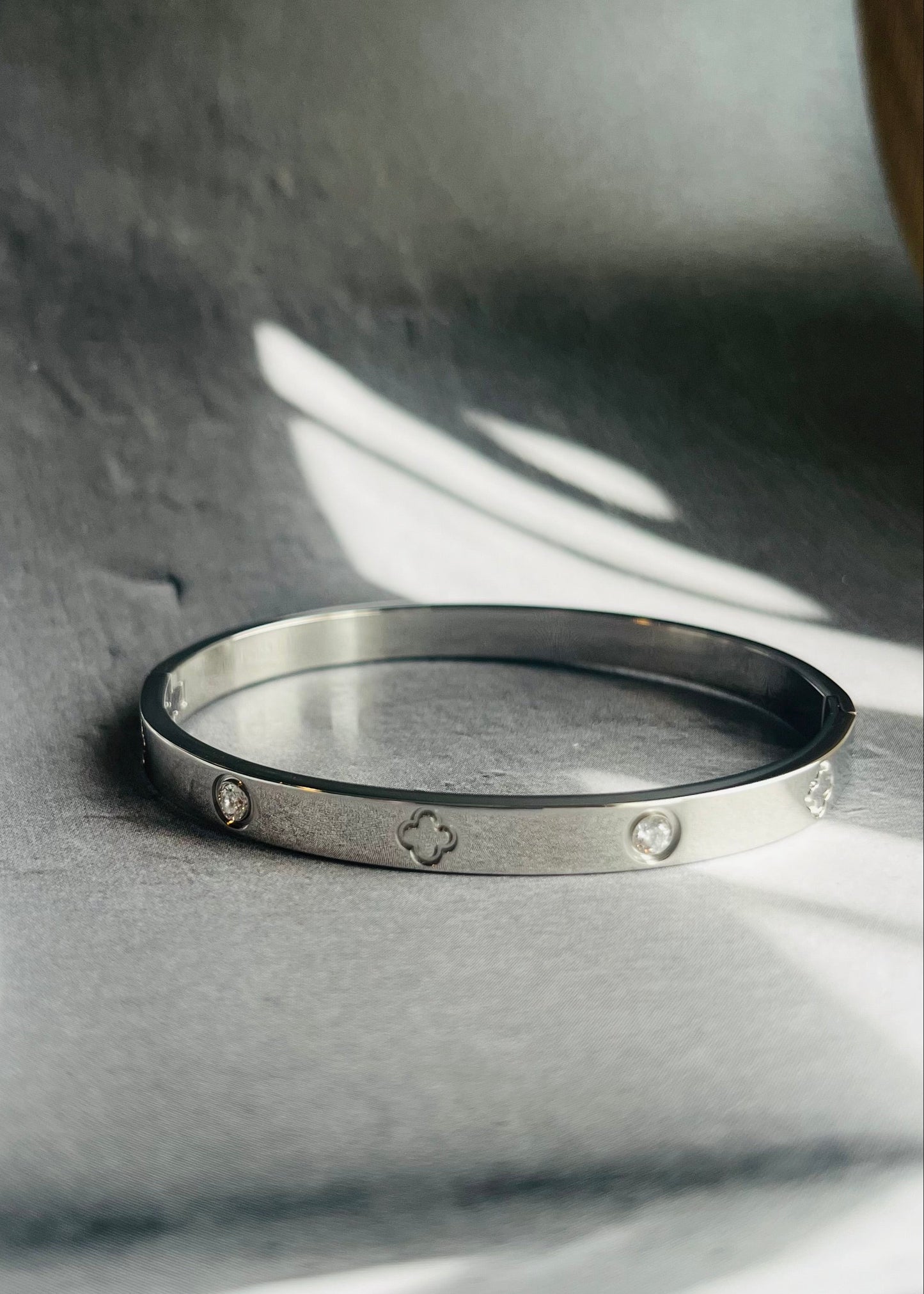Stainless steel bangle armband, stijlvol, chic en duurzaam